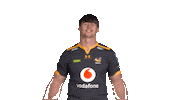 Rugby Sticker by Wasps