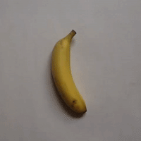 loop magic GIF by cintascotch