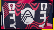 Major League Soccer GIF