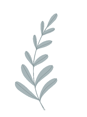 Flowers Leaf Sticker