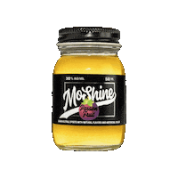 lets go turn up nelly moonshine dilemma Sticker