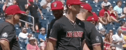 Nc State Baseball GIF by NCAA Championships