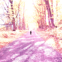 Dark Knight Halloween GIF by xponentialdesign