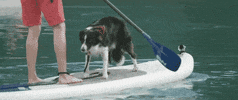 falling for you andrew knapp GIF by Much