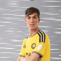 النصر GIF