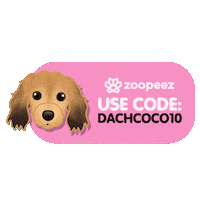 Dachofcoco Sticker by zoopeez