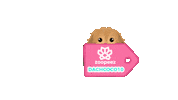 Dachcoco10 Sticker by zoopeez