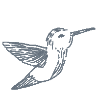 Flying Humming Birds Sticker by Eterate Calligraphy
