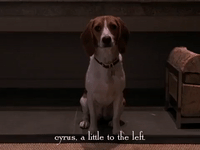 season 4 netflix GIF by Gilmore Girls 
