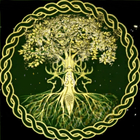 kikoo5fbb giphygifmaker tree of life GIF