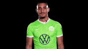 Lets Go Reaction GIF by VfL Wolfsburg