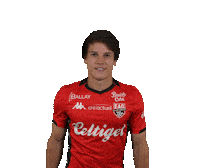 Ligue 2 Football Sticker by EA Guingamp