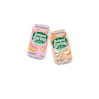 polandspringwtr party excited celebrate drink Sticker