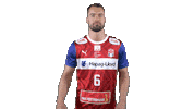 Handball-Bundesliga Sport Sticker by LIQUI MOLY HBL
