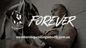 nick maxwell captain GIF by CollingwoodFC