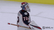 Ice Hockey Hug GIF by NHL