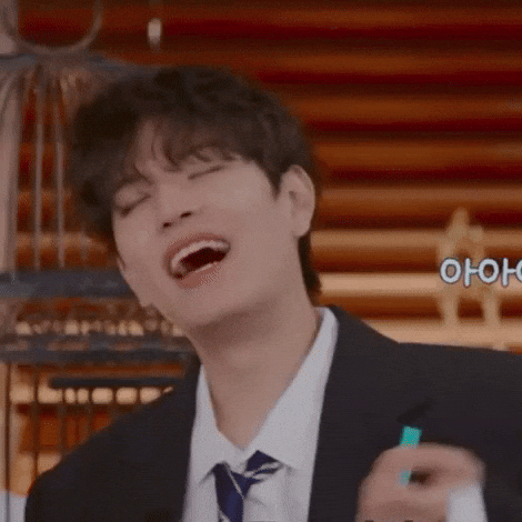 Stray Kids Skz GIF