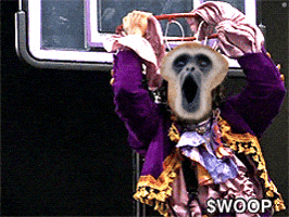 woopalgo giphyupload woop algo woop woop GIF