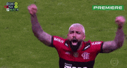 Serie A Serieb GIF by Canal Premiere