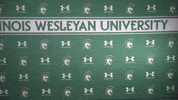 25Iwumvb GIF by iwusports