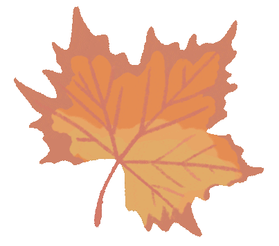 Maple Leaf Tree Sticker