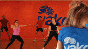 GIF by L'Orange Bleue