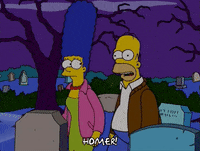 homer simpson stop GIF