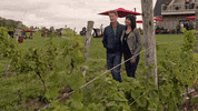 good witch love GIF by Hallmark Channel