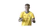 Goal Sticker by vv Staphorst