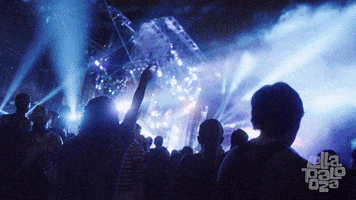 lolla GIF by Lollapalooza
