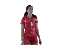 Sport Volleyball Sticker by LP Viesti