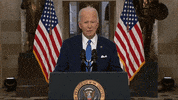 Joe Biden GIF by euronews