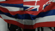 mma ufc218 GIF by UFC