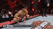 mma ufc218 GIF by UFC
