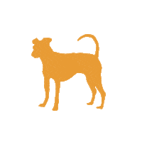 browndogcoalition brown dog brown dog coalition Sticker