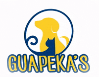 guapekaspett guapekas GIF