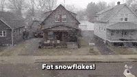 Fat Snowflakes