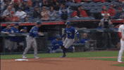 Home Run Celebration GIF by Toronto Blue Jays