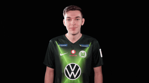 E Sports Sport GIF by VfL Wolfsburg