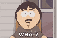 Randy What GIF by South Park