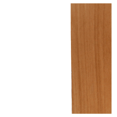 Cat Reaction Sticker