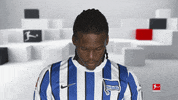 Line Up Smile GIF by Bundesliga