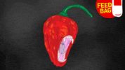 ghost peppers GIF