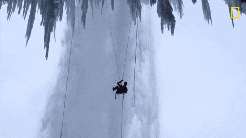 Swinging Nat Geo GIF by National Geographic Channel