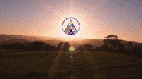 Wellness Revolution Festival