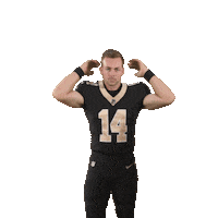 Football Sport Sticker by New Orleans Saints