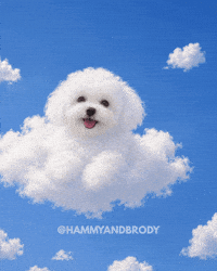 Grinning Cloud 9 GIF by HammyandBrody