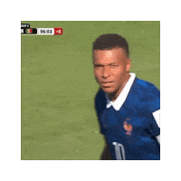 France World Cup Soccer Fans Sticker