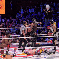 Flying Lucha Libre GIF