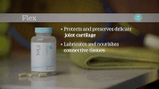 flex xyngular reviews GIF by Xyngular